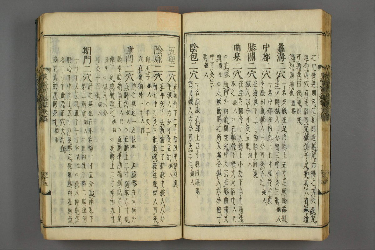 订正东医宝鉴(第1781页)