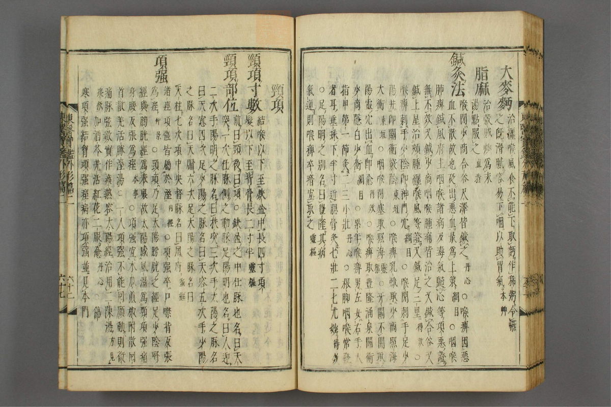 订正东医宝鉴(第593页)