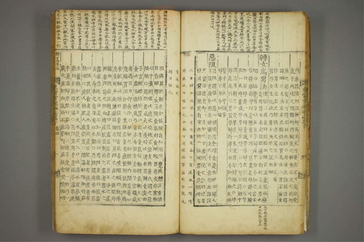 东医宝鉴(第1255页)
