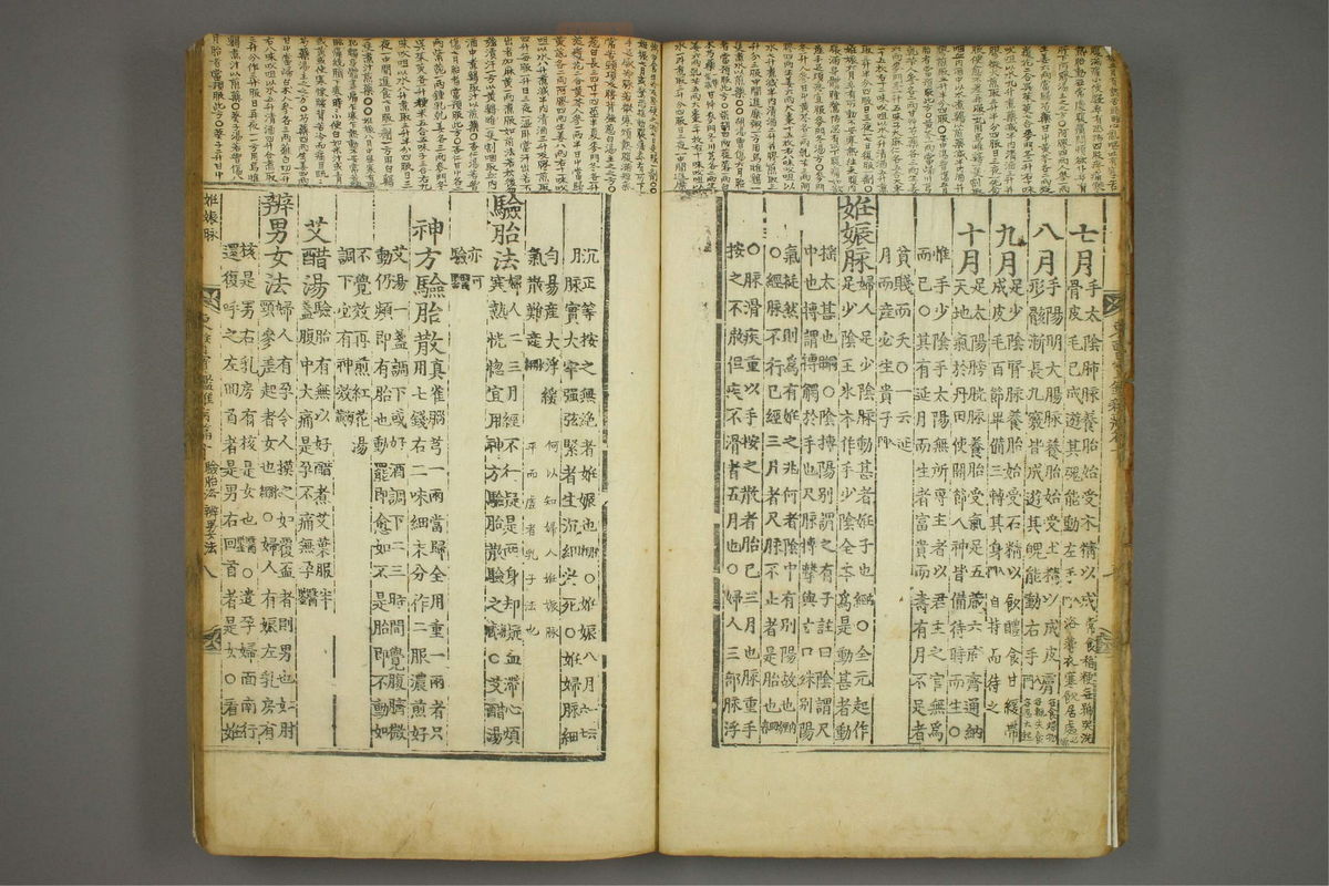 东医宝鉴(第1253页)