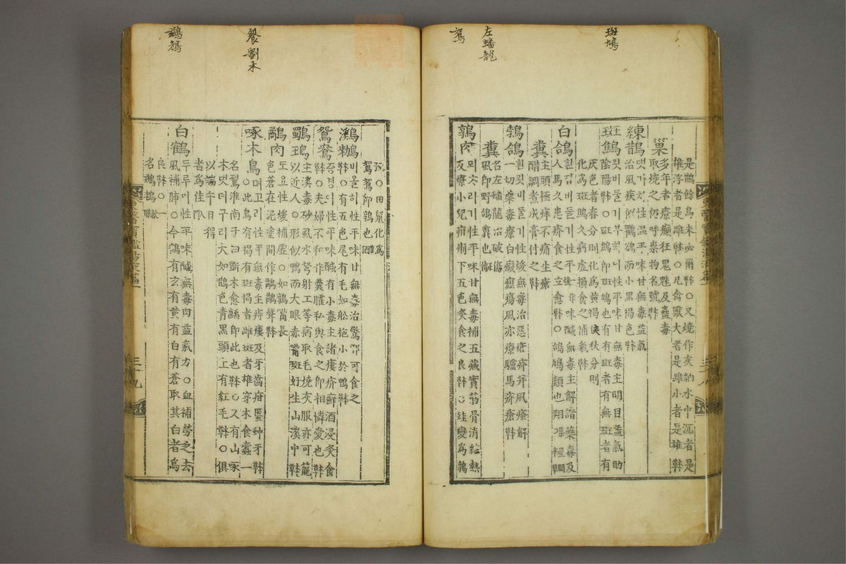 东医宝鉴(第1427页)