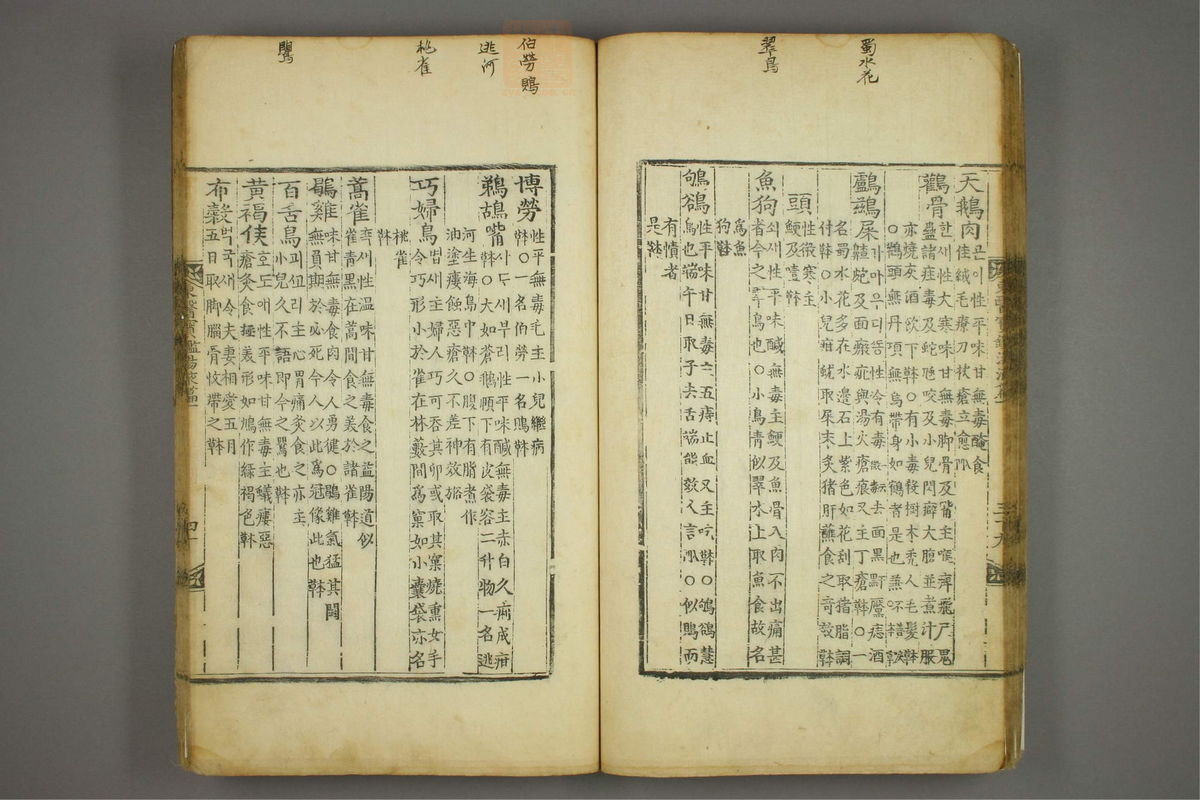 东医宝鉴(第1428页)