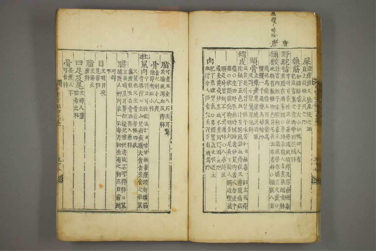 东医宝鉴(第1446页)