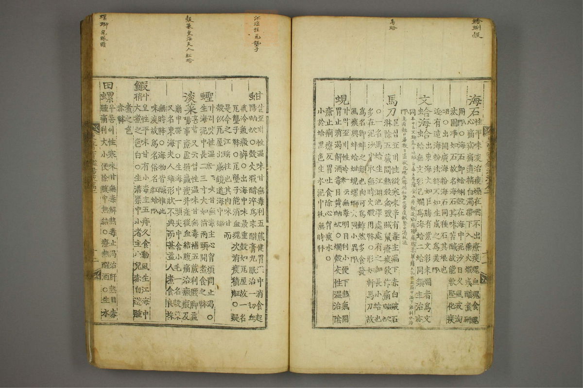 东医宝鉴(第1462页)
