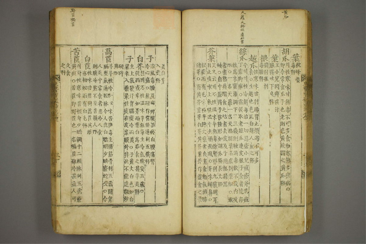 东医宝鉴(第1480页)