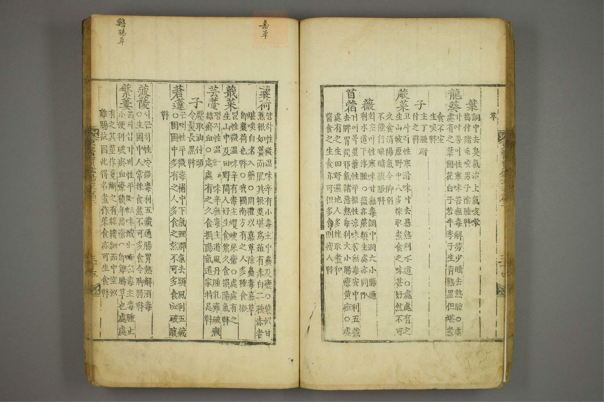 东医宝鉴(第1485页)