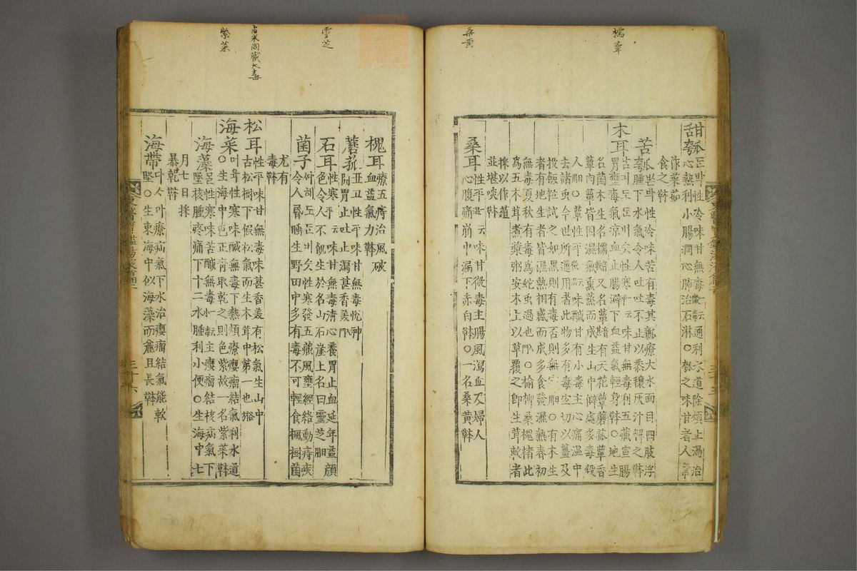东医宝鉴(第1486页)