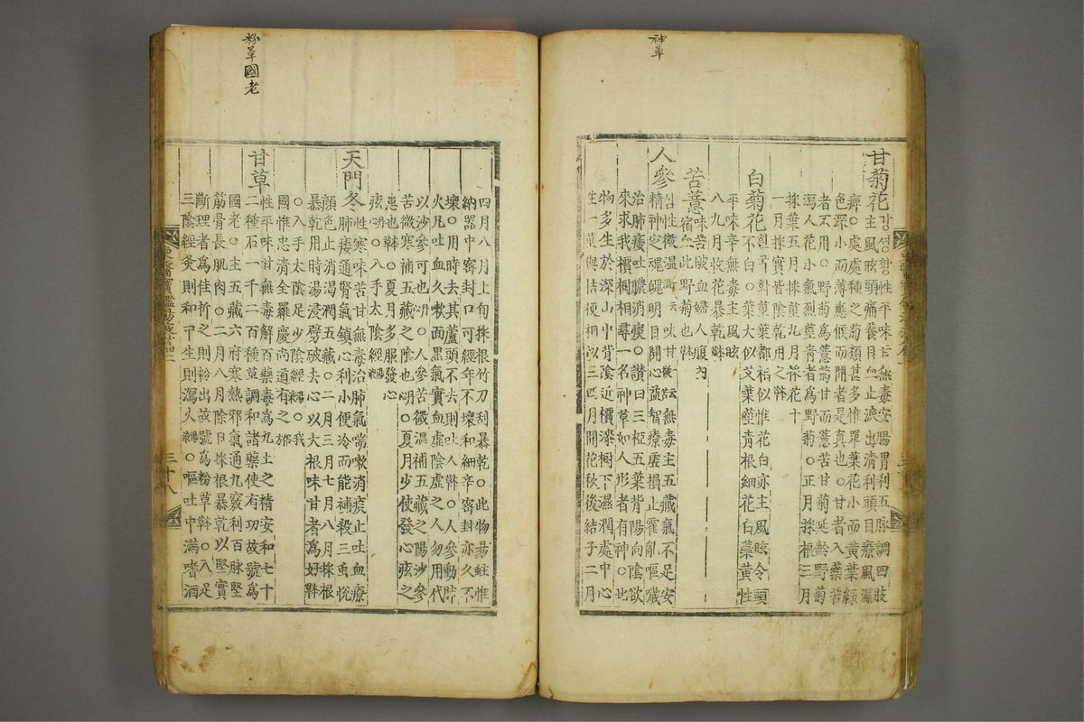 东医宝鉴(第1488页)