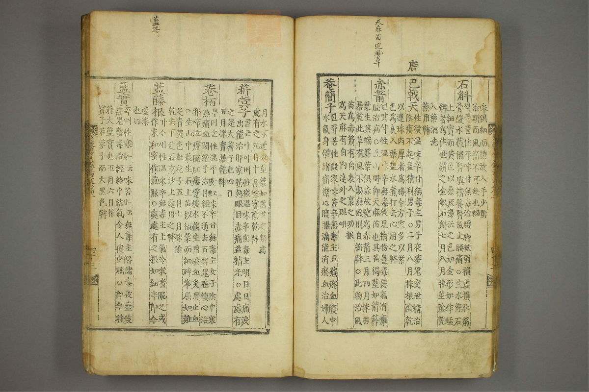 东医宝鉴(第1493页)