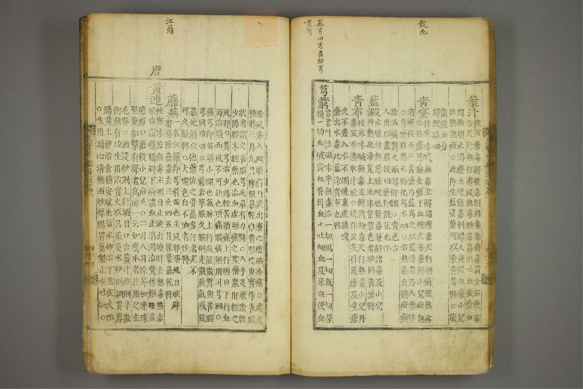 东医宝鉴(第1494页)
