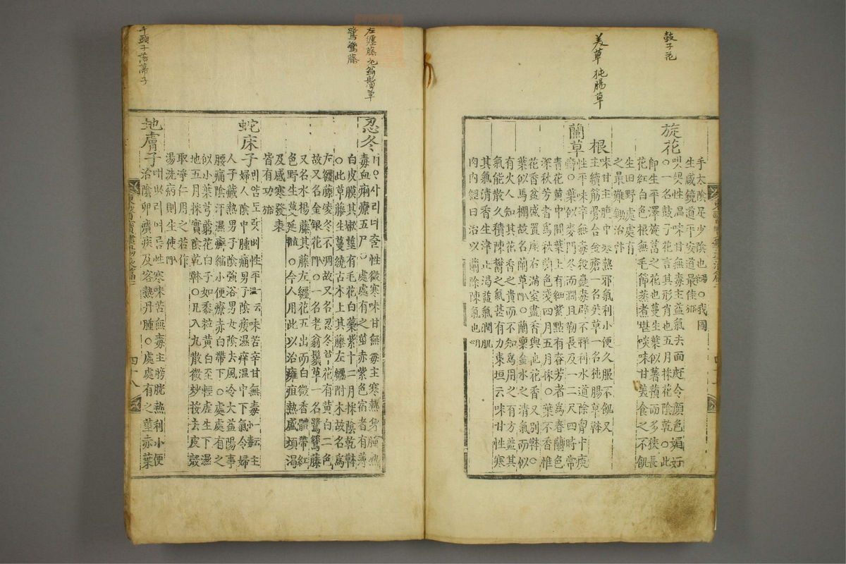 东医宝鉴(第1498页)