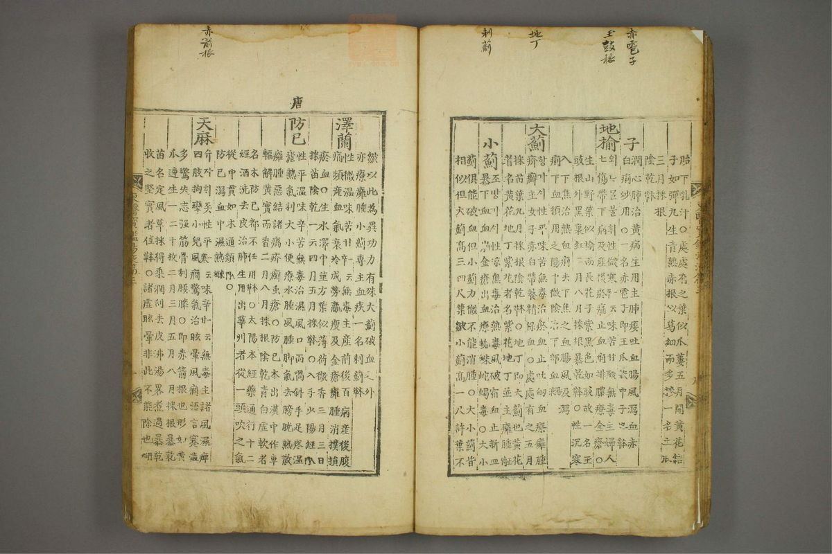 东医宝鉴(第1511页)