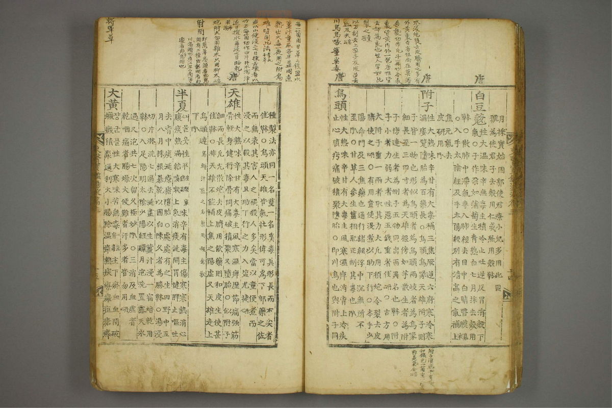 东医宝鉴(第1516页)