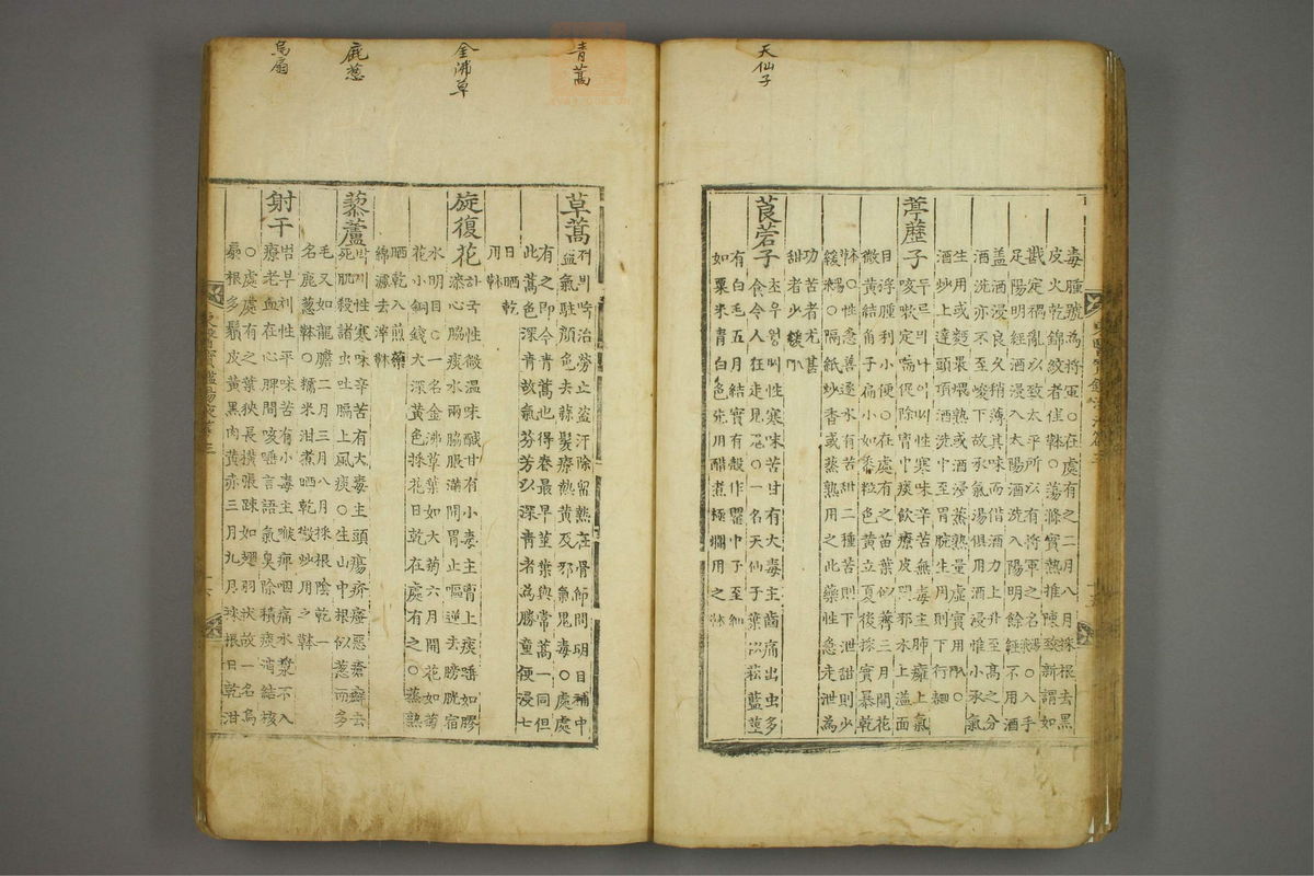 东医宝鉴(第1517页)