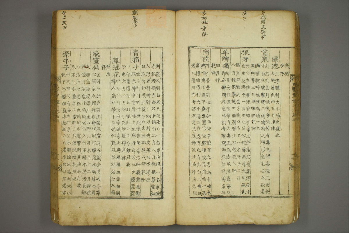 东医宝鉴(第1519页)