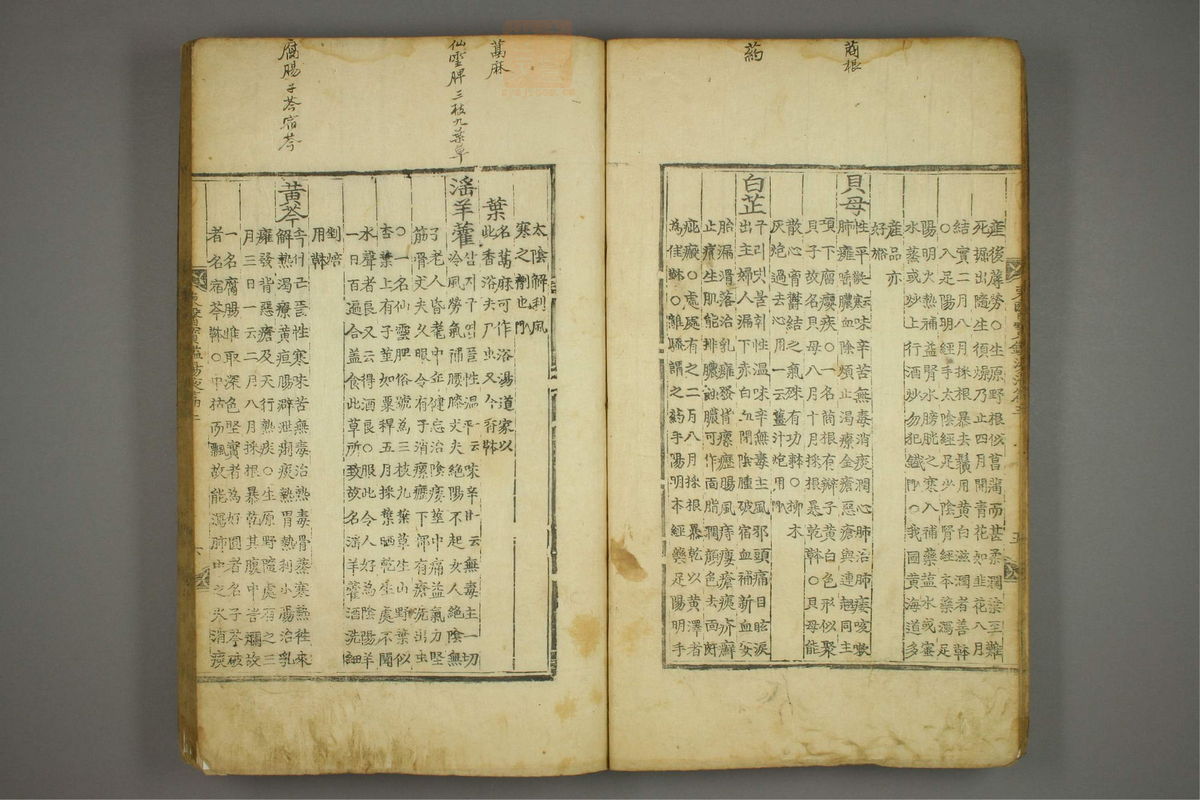 东医宝鉴(第1507页)