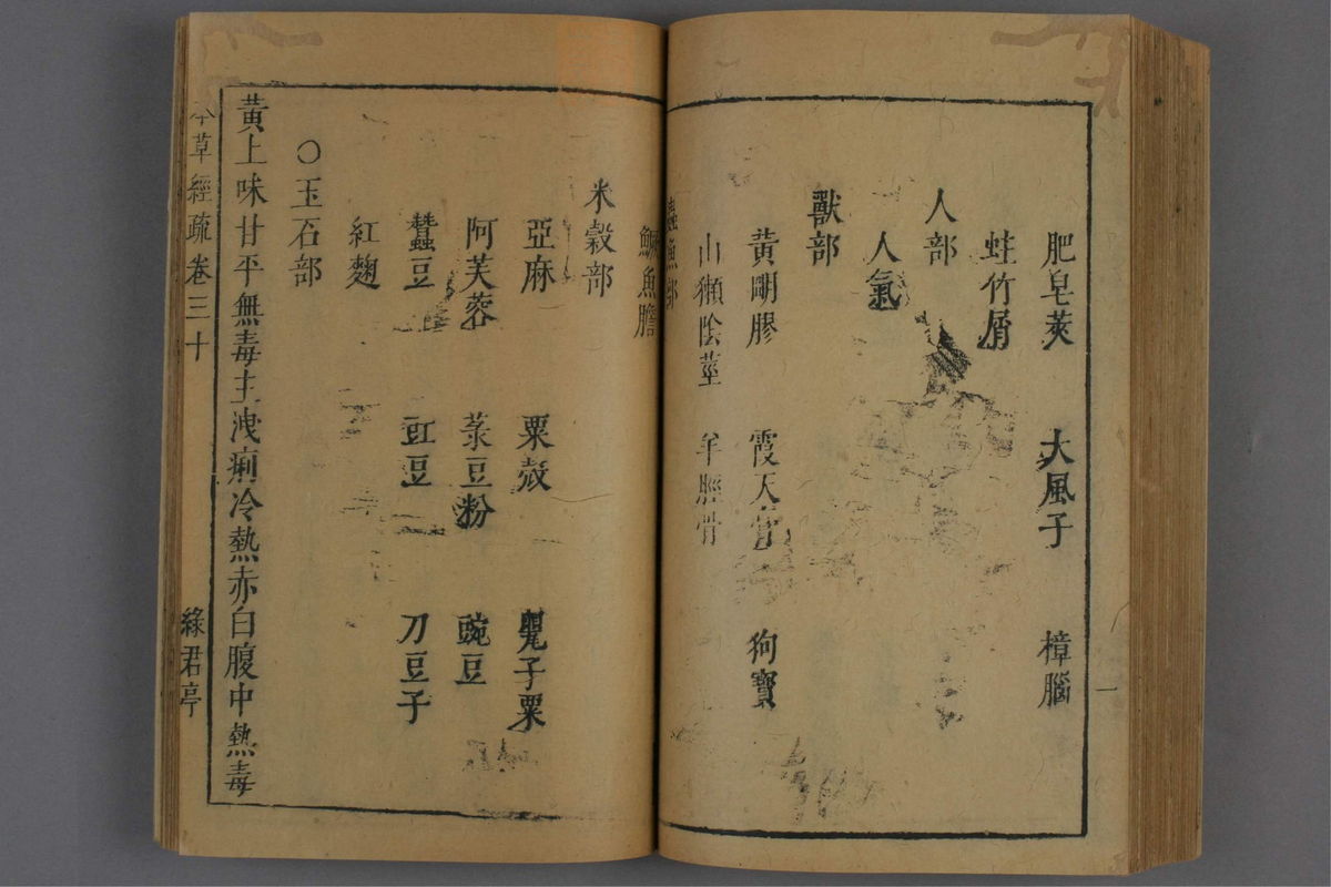 神农本草经疏(第1324页)