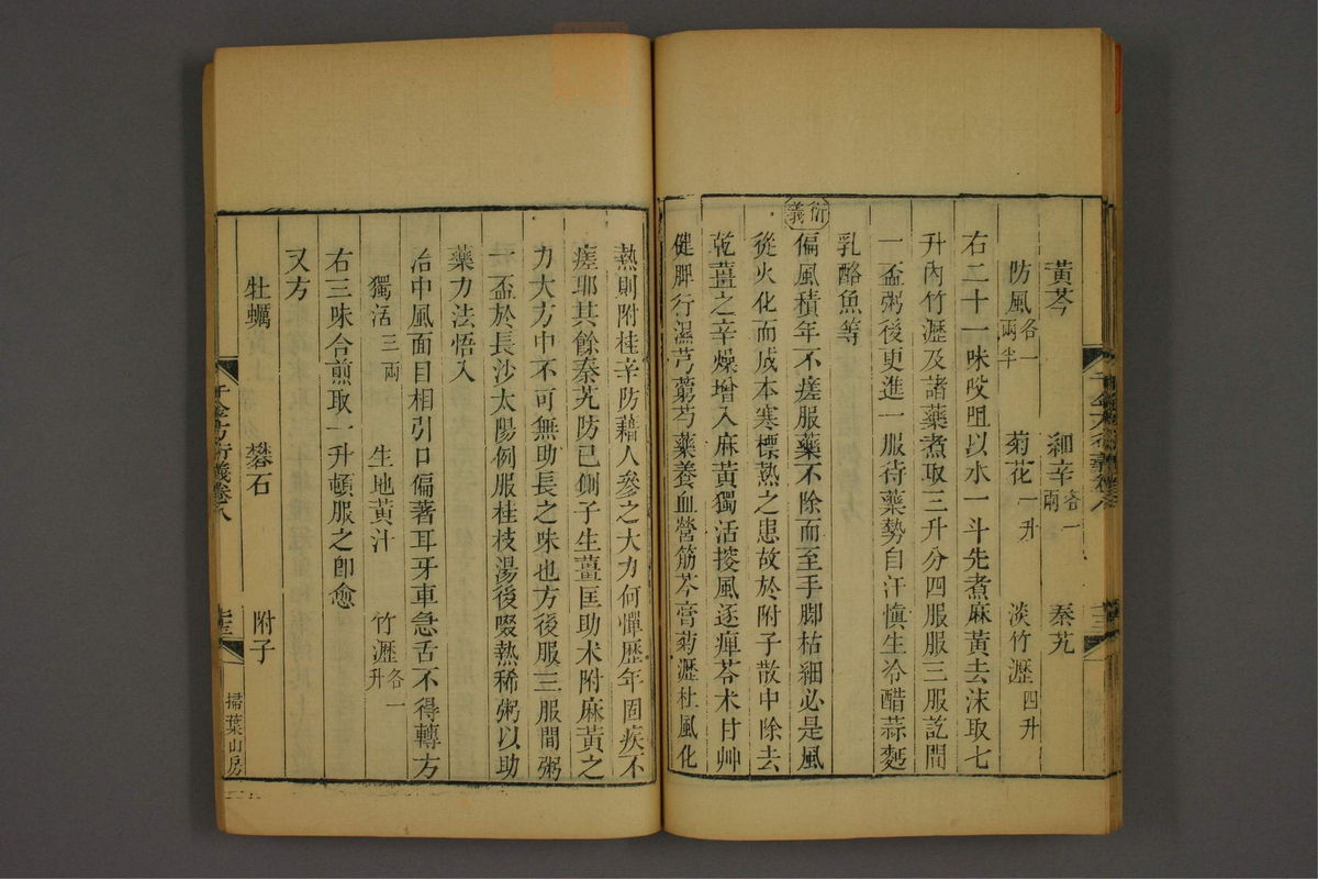 孙眞人千金方衍义(第794页)