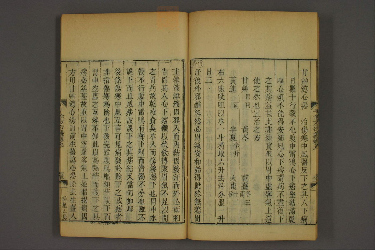 孙眞人千金方衍义(第873页)