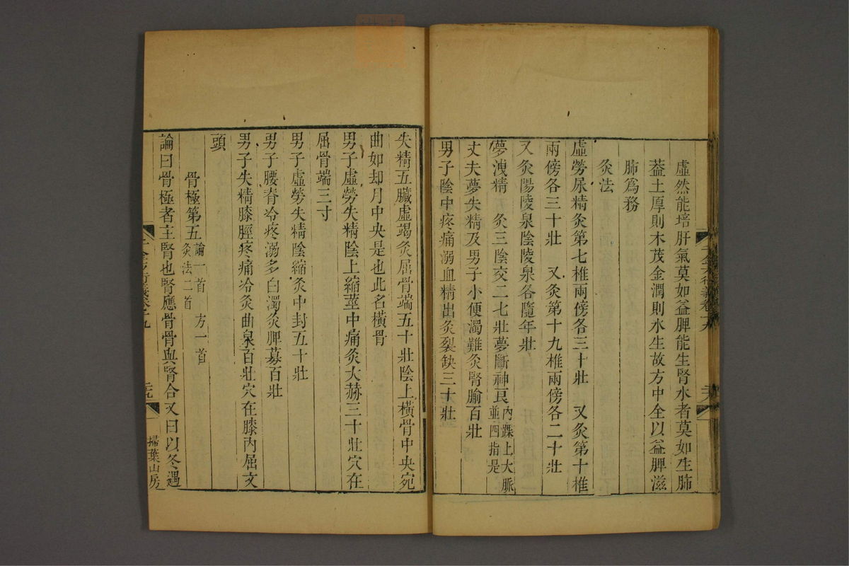 孙眞人千金方衍义(第1555页)