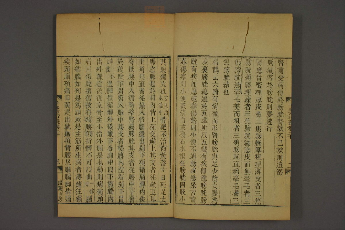 孙眞人千金方衍义(第1621页)
