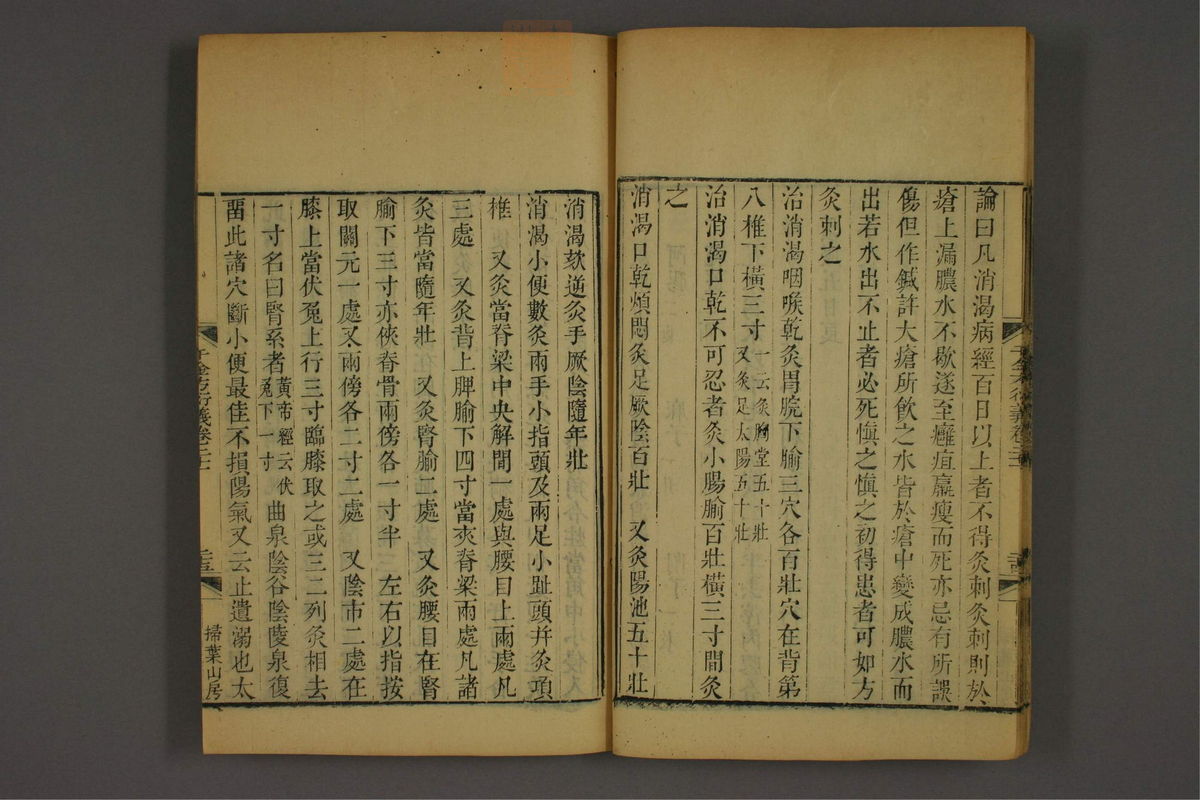 孙眞人千金方衍义(第1696页)