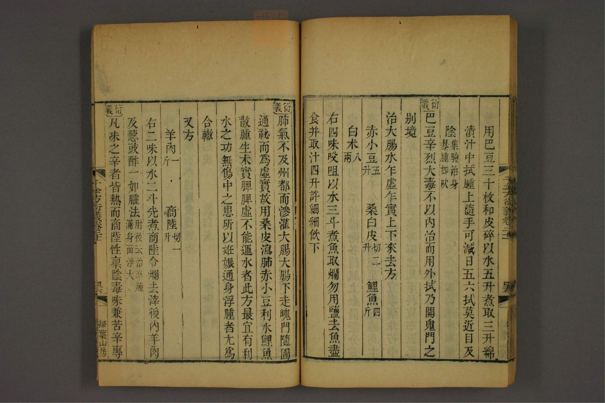 孙眞人千金方衍义(第1717页)