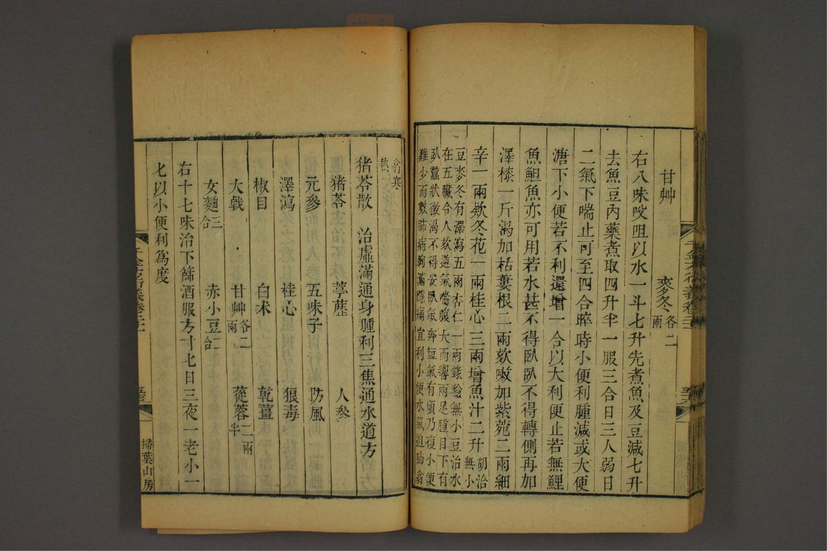 孙眞人千金方衍义(第1728页)