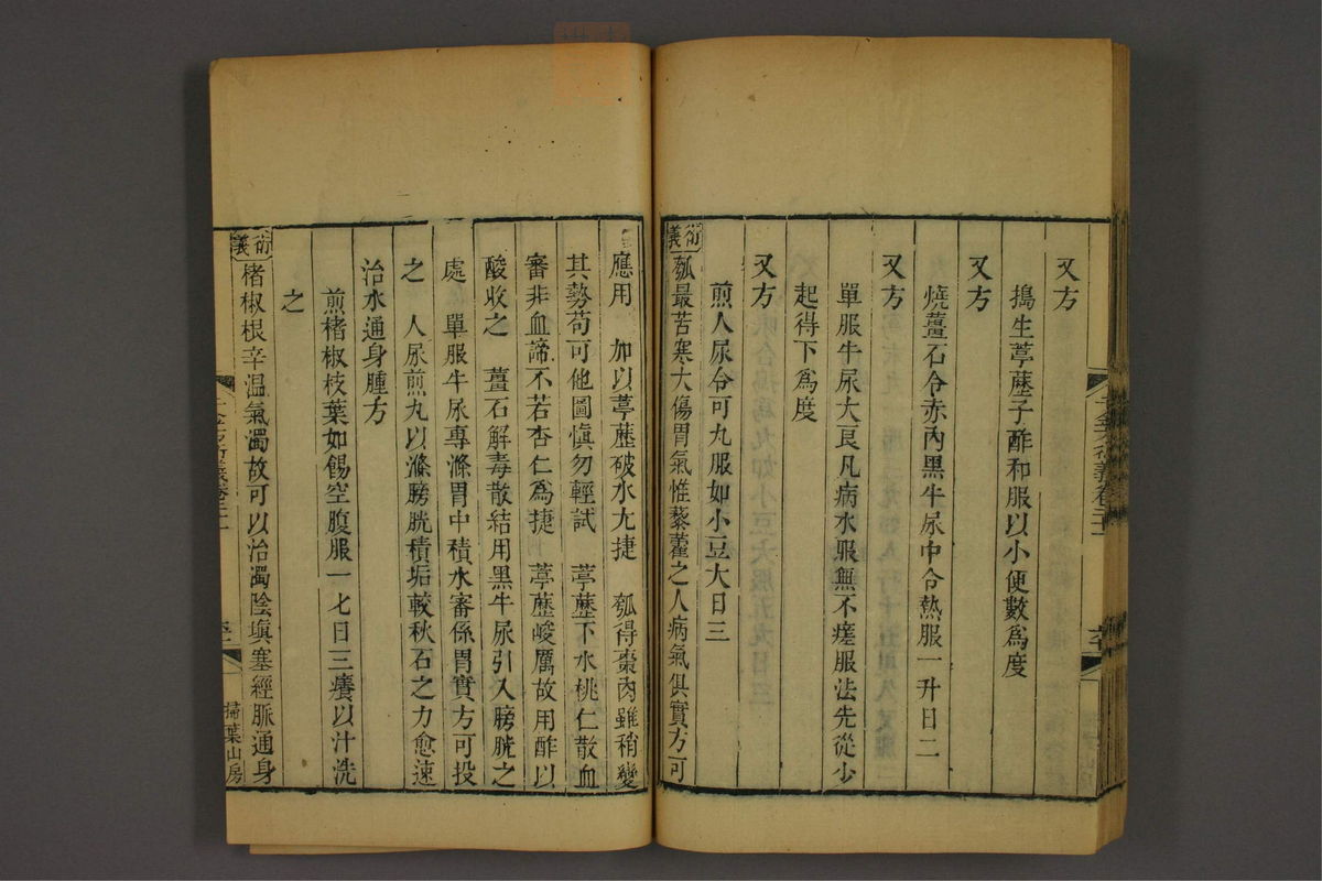 孙眞人千金方衍义(第1732页)