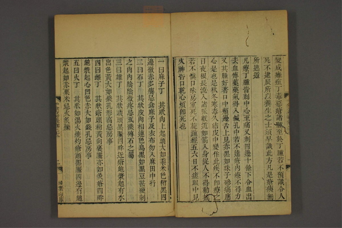 孙眞人千金方衍义(第1741页)