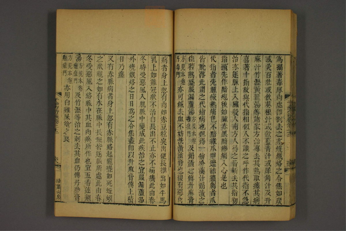 孙眞人千金方衍义(第1807页)
