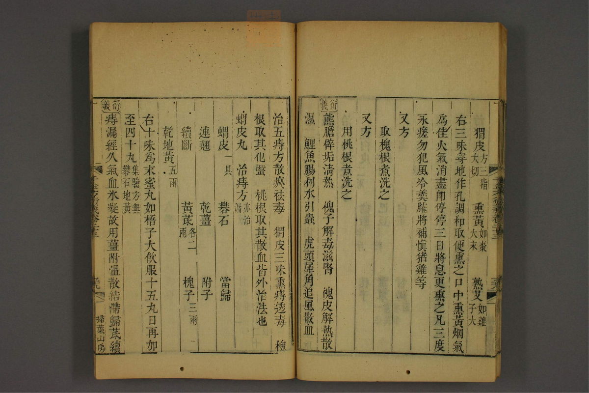 孙眞人千金方衍义(第1869页)