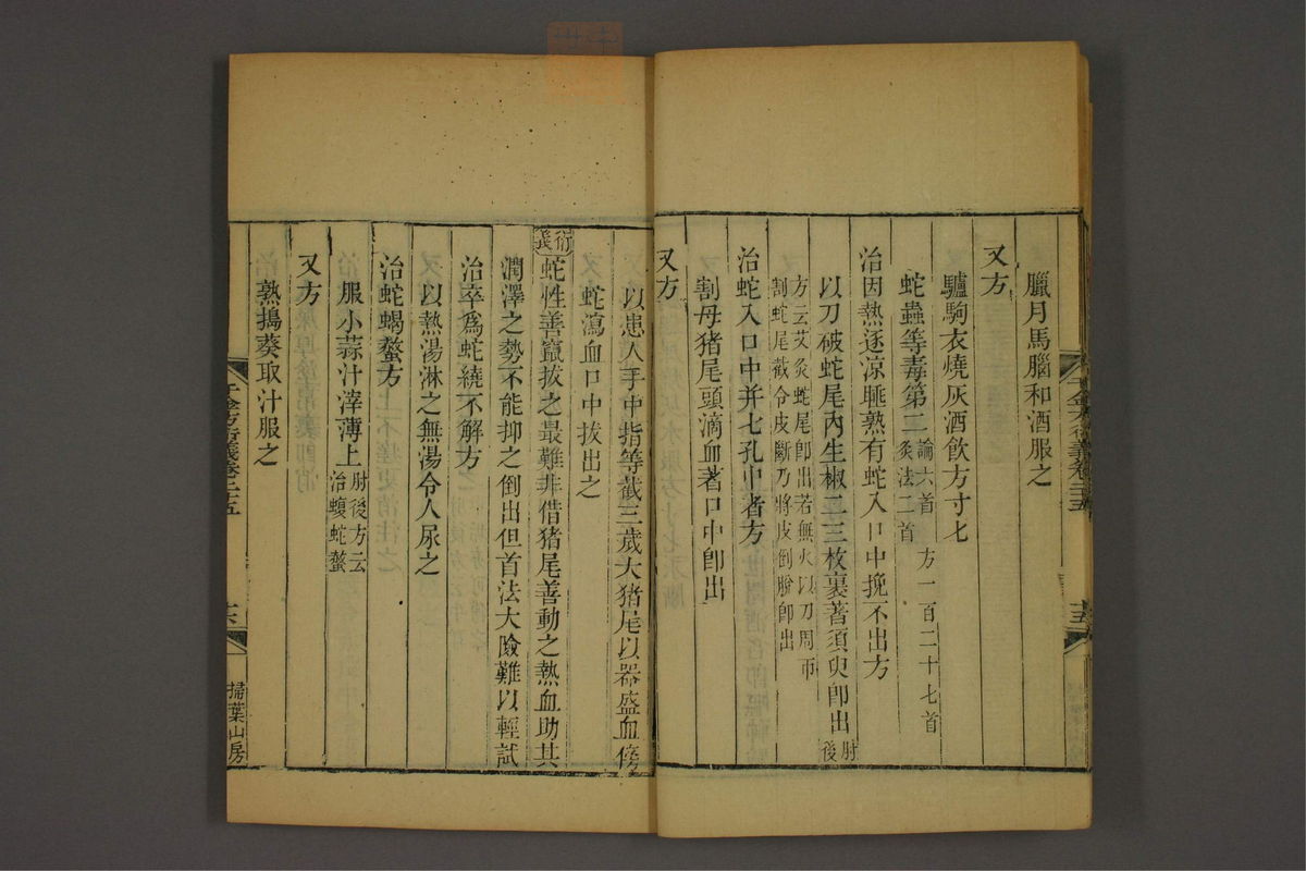 孙眞人千金方衍义(第1973页)