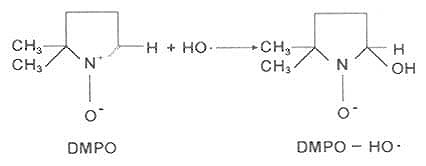 脂质过氧化反应及其脂质自由基的生成