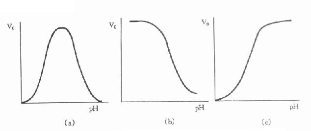 酶活性与pH的函数关系曲线可能具有的几种形状