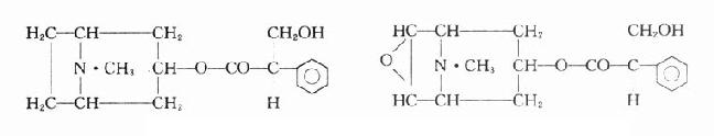 阿托品及东莨菪碱的化学结构