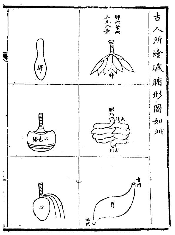 《医林改错》 《医林改错》