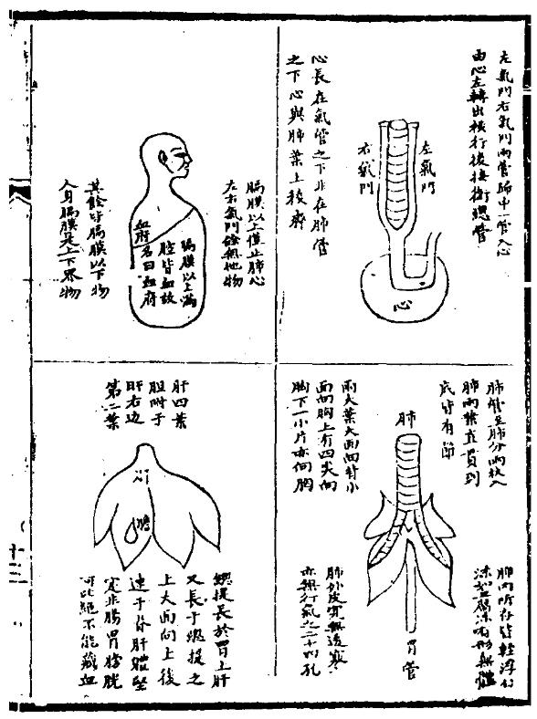 《医林改错》 《医林改错》
