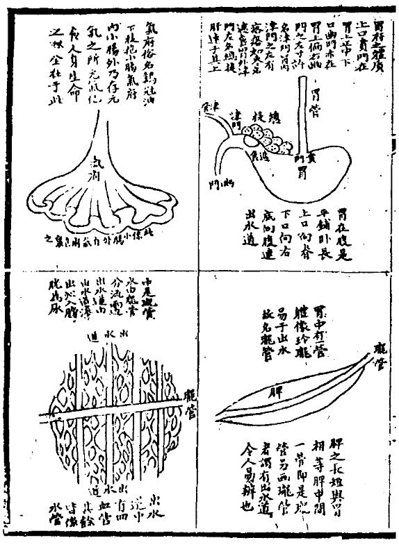 《医林改错》 《医林改错》