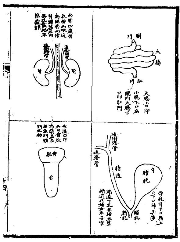 《医林改错》 《医林改错》