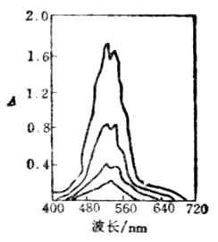 KMnO4液的吸收光谱曲线