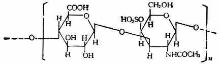 β－D-葡萄糖醛醛酸　N-乙酰基－D－氨基葡萄糖
